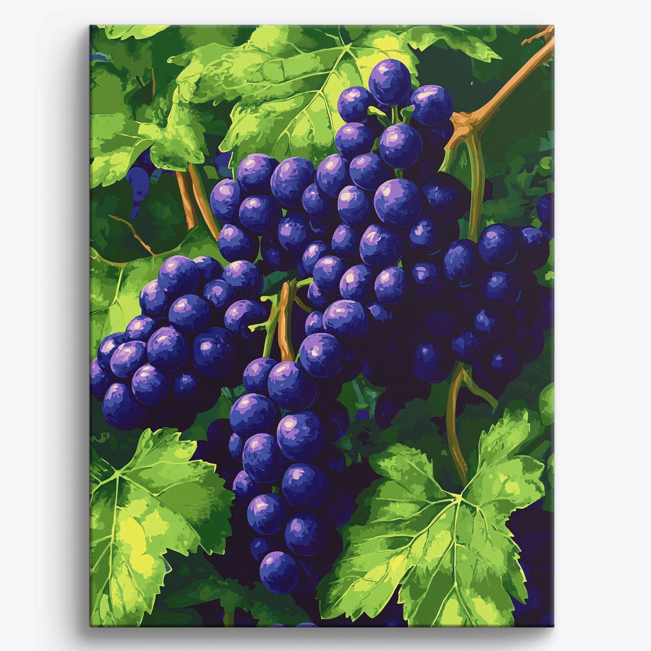 Grape Elegance No Frame / 40x50cm