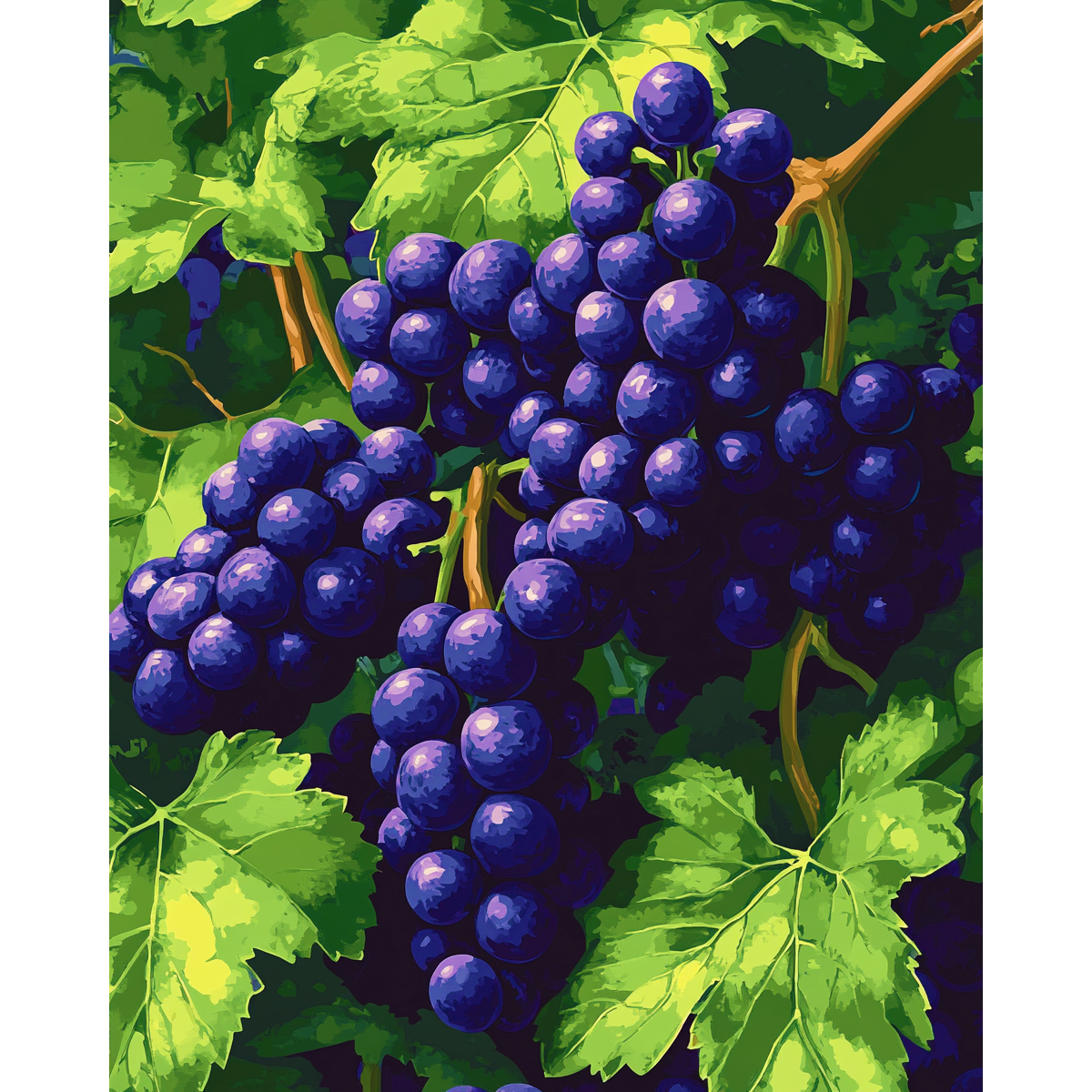 Grape Elegance